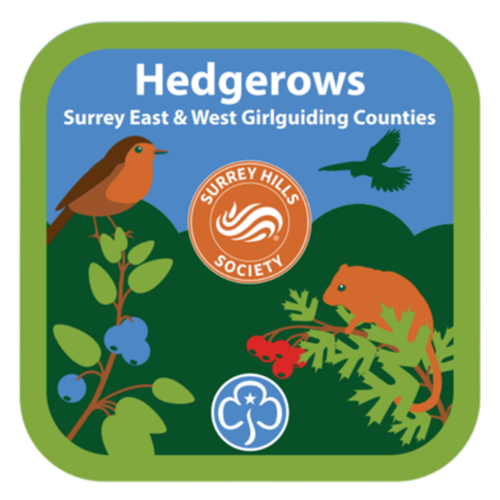 Surrey Hills Hedgerow Badge